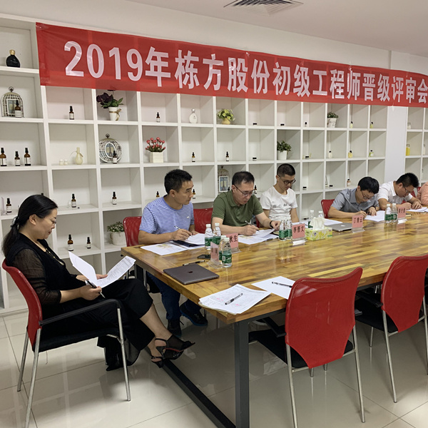 匠心筑夢，人才培養(yǎng)丨棟方股份2019初級工程師晉級評審會順利舉行